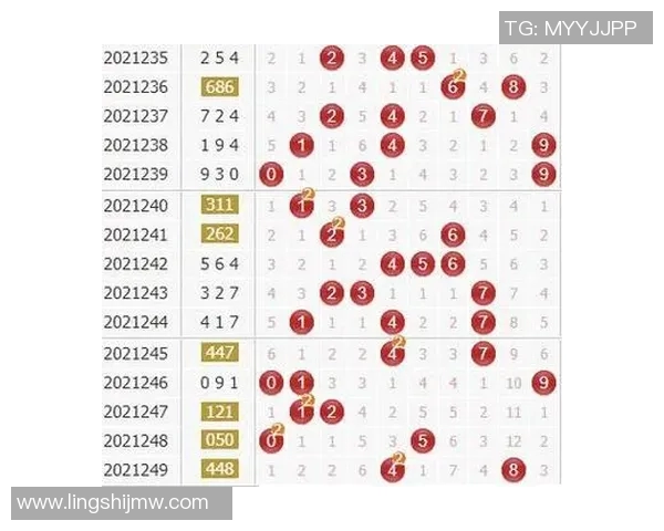武汉乒乓球队速度对比独家分析揭示训练与比赛的关键差异 武汉乒乓球队速度对比独家分析揭示训练与比赛的关键差异