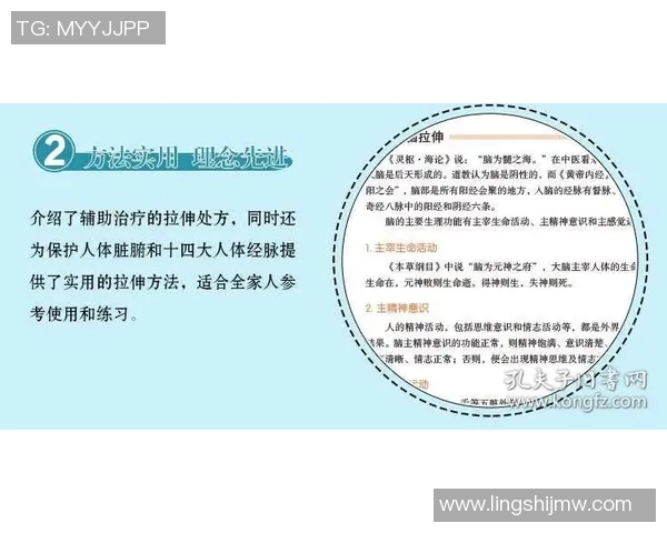 从零起步掌握极限运动心理素质的全面指南与实战技巧分享